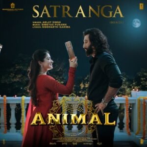 Satranga Song lyrics (Animal)
